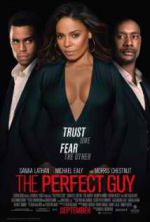 Watch The Perfect Guy 9movies