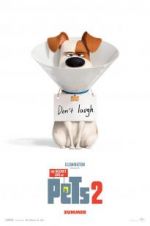 Watch The Secret Life of Pets 2 9movies