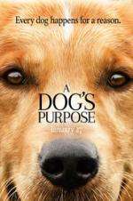 Watch A Dog's Purpose 9movies