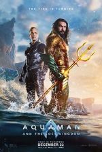 Watch Aquaman and the Lost Kingdom 9movies