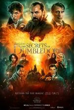 Watch Fantastic Beasts: The Secrets of Dumbledore 9movies