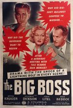 Watch The Big Boss 9movies