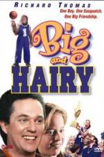 Watch Big and Hairy 9movies