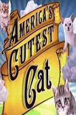 Watch America's Cutest Cat 9movies