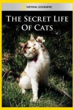 Watch National Geographic The Secret Life of Cats 9movies