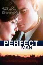 Watch A Perfect Man 9movies