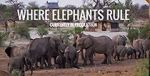 Watch Where Elephants Rule 9movies