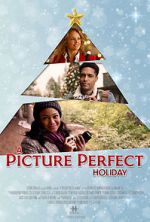 Watch A Picture Perfect Holiday 9movies
