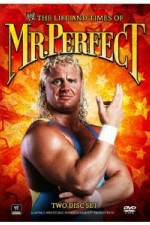 Watch The Life and Times of Mr Perfect 9movies