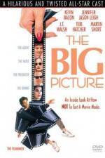 Watch The Big Picture 9movies