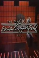 Watch The Magic of David Copperfield VII Familares 9movies