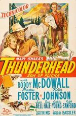 Watch Thunderhead: Son of Flicka 9movies