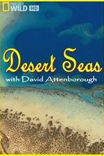 Watch Desert Seas 9movies