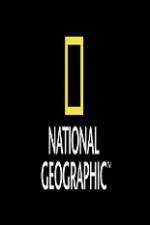 Watch National Geographic Wild Animal Attacks On Vacation 9movies