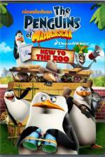 Watch Penguins of Madagascar New to the Zoo 9movies