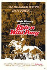 Watch Ride a Wild Pony 9movies
