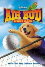 Watch Air Bud Spikes Back 9movies