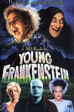 Watch Young Frankenstein 9movies