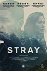 Watch Stray 9movies