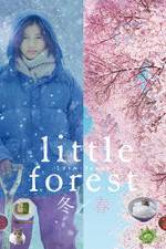 Watch Little Forest: Winter/Spring 9movies