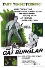 Watch The Cat Burglar 9movies