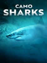 Watch Camo Sharks 9movies