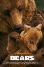 Watch Bears 9movies