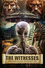 Watch The Witnesses: Ancient Alien Encounters 9movies
