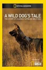 Watch A Wild Dogs Tale 9movies