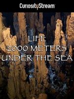 Watch Life 2,000 Meters Under the Sea 9movies