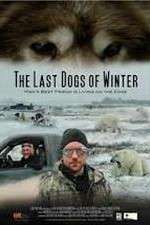 Watch The Last Dogs of Winter 9movies