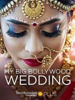 Watch My Big Bollywood Wedding 9movies