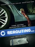 Watch Rerouting 9movies