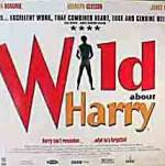 Watch Wild About Harry 9movies