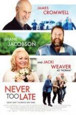 Watch Never Too Late 9movies