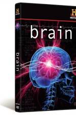 Watch The Brain 9movies