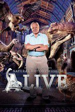 Watch David Attenborough\'s Natural History Museum Alive 9movies