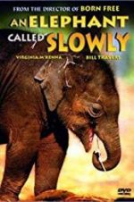 Watch An Elephant Called Slowly 9movies