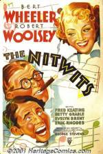 Watch The Nitwits 9movies