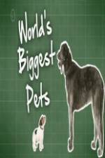 Watch World's Biggest Pets 9movies