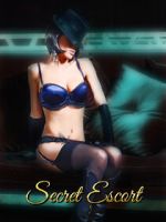 Watch Secret Escort 9movies