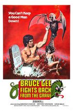 Watch Bruce Lee Fights Back from the Grave 9movies