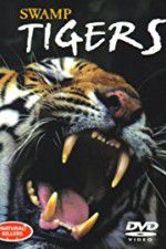 Watch Swamp Tigers 9movies