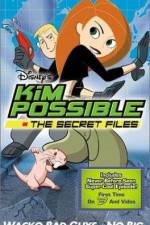 Watch "Kim Possible" Attack of the Killer Bebes 9movies