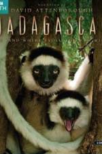 Watch Madagascar Island of Marvels 9movies