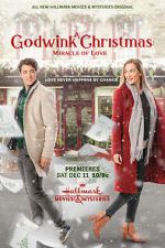 Watch A Godwink Christmas: Miracle of Love 9movies