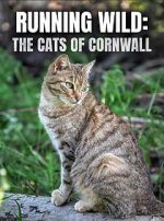 Watch Running Wild: The Cats of Cornwall (TV Special 2020) 9movies