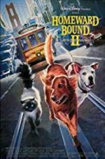 Watch Homeward Bound II: Lost in San Francisco 9movies