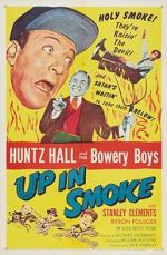 Watch Up in Smoke 9movies