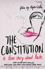 Watch The Constitution 9movies